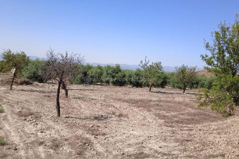 Helårsgrund i Albox, Almeria, Albox - € 45.000 | Ref: APS 1807 - foto 2