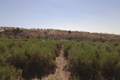 Helårsgrund i Albox, Almeria, Albox - € 45.000 | Ref: APS 1807 - foto 3