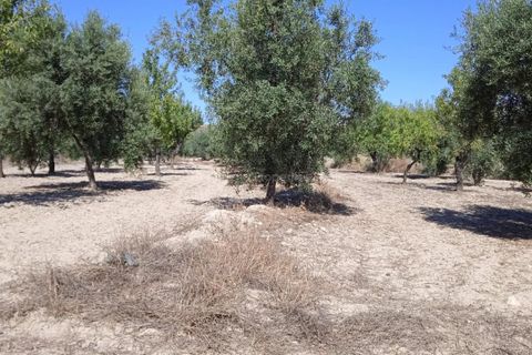 Helårsgrund i Albox, Almeria, Albox - € 45.000 | Ref: APS 1807 - foto 4
