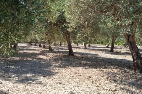 Helårsgrund i Albox, Almeria, Albox - € 45.000 | Ref: APS 1807 - foto 5