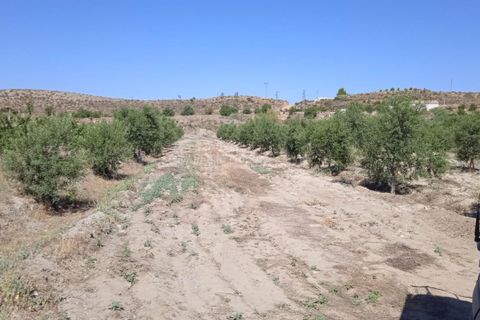 Helårsgrund i Albox, Almeria, Albox - € 45.000 | Ref: APS 1807 - foto 6