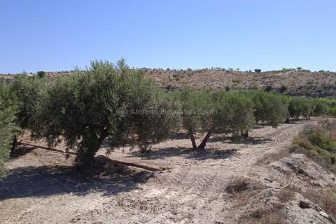 Helårsgrund i Albox, Almeria, Albox - € 45.000 | Ref: APS 1807 - foto 7