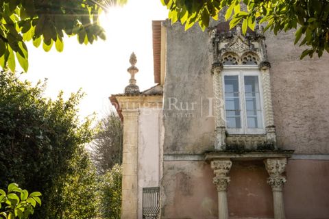 Villa a Anadia, Aveiro, Anadia - € 8.026.000 | Ref: TG3260 - foto 8