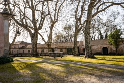 Villa a Anadia, Aveiro, Anadia - € 8.026.000 | Ref: TG3260 - foto 11