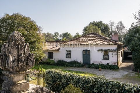 Villa a Anadia, Aveiro, Anadia - € 8.026.000 | Ref: TG3260 - foto 35