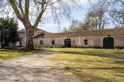 Villa a Anadia, Aveiro, Anadia - € 8.026.000 | Ref: TG3260 - foto 37