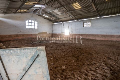 Villa a Anadia, Aveiro, Anadia - € 8.026.000 | Ref: TG3260 - foto 38