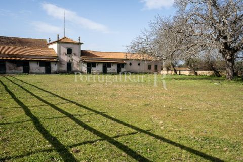Villa a Anadia, Aveiro, Anadia - € 8.026.000 | Ref: TG3260 - foto 40