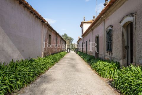 Villa a Anadia, Aveiro, Anadia - € 8.026.000 | Ref: TG3260 - foto 41