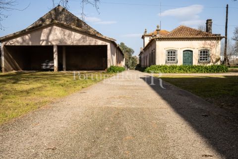 Villa a Anadia, Aveiro, Anadia - € 8.026.000 | Ref: TG3260 - foto 42