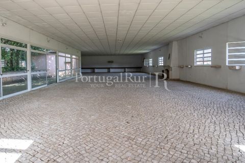 Villa a Anadia, Aveiro, Anadia - € 8.026.000 | Ref: TG3260 - foto 44