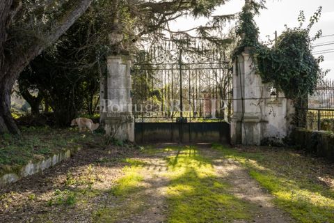 Villa a Anadia, Aveiro, Anadia - € 8.026.000 | Ref: TG3260 - foto 45