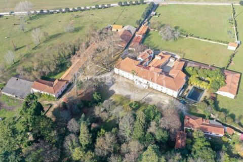 Villa a Anadia, Aveiro, Anadia - € 8.026.000 | Ref: TG3260 - foto 46