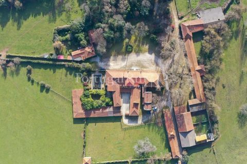 Villa a Anadia, Aveiro, Anadia - € 8.026.000 | Ref: TG3260 - foto 47