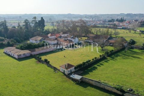 Villa a Anadia, Aveiro, Anadia - € 8.026.000 | Ref: TG3260 - foto 48