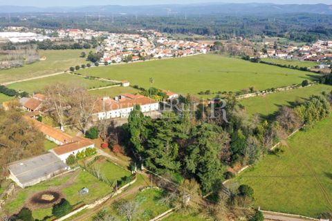 Villa a Anadia, Aveiro, Anadia - € 8.026.000 | Ref: TG3260 - foto 49