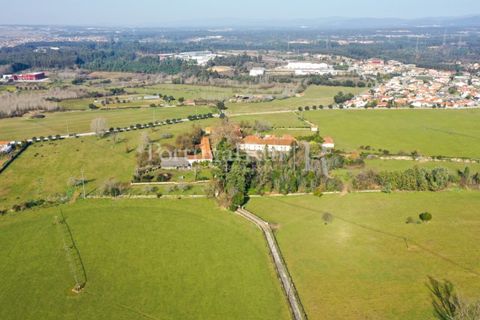 Villa a Anadia, Aveiro, Anadia - € 8.026.000 | Ref: TG3260 - foto 50