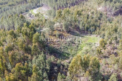 Helårsgrund i Proenca-a-Nova, Castelo Branco, Proenca-a-Nova - € 35.000 | Ref: SA257 - foto 2