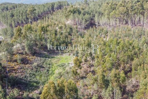Helårsgrund i Proenca-a-Nova, Castelo Branco, Proenca-a-Nova - € 35.000 | Ref: SA257 - foto 3
