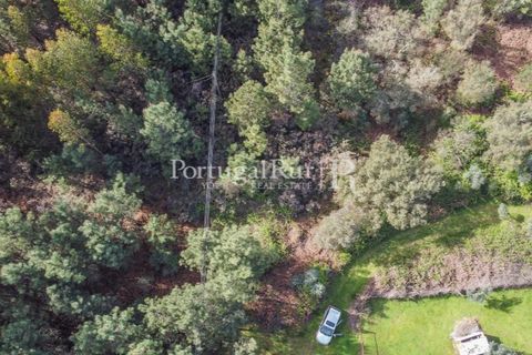 Helårsgrund i Proenca-a-Nova, Castelo Branco, Proenca-a-Nova - € 35.000 | Ref: SA257 - foto 6