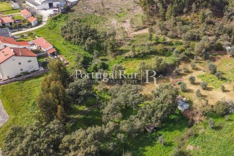 Terreno en Proenca-a-Nova, Castelo Branco, Proenca-a-Nova - € 75.000 | Ref: SA168 - photo 1