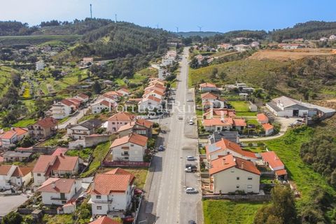 Terreno en Proenca-a-Nova, Castelo Branco, Proenca-a-Nova - € 75.000 | Ref: SA168 - photo 2