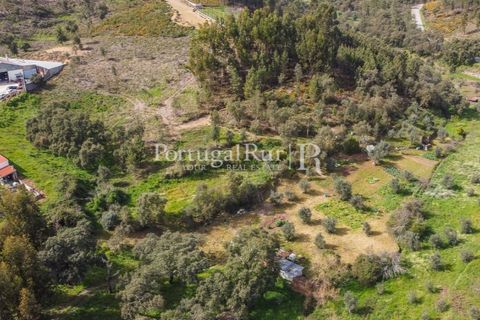 Terreno en Proenca-a-Nova, Castelo Branco, Proenca-a-Nova - € 75.000 | Ref: SA168 - photo 3