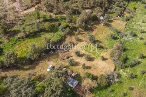 Terreno en Proenca-a-Nova, Castelo Branco, Proenca-a-Nova - € 75.000 | Ref: SA168 - photo 4