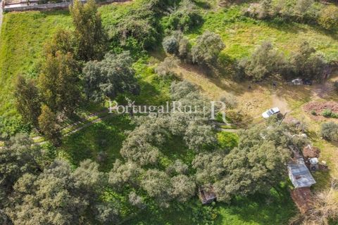Terreno en Proenca-a-Nova, Castelo Branco, Proenca-a-Nova - € 75.000 | Ref: SA168 - photo 5