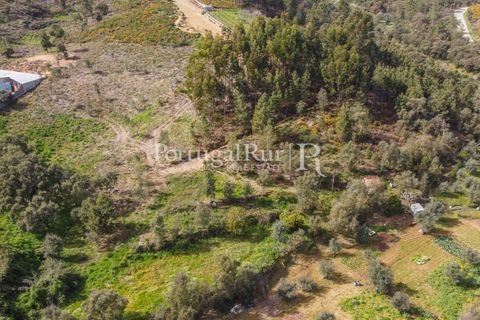 Terreno en Proenca-a-Nova, Castelo Branco, Proenca-a-Nova - € 75.000 | Ref: SA168 - photo 6