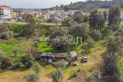 Terreno en Proenca-a-Nova, Castelo Branco, Proenca-a-Nova - € 75.000 | Ref: SA168 - photo 9