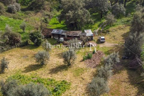 Terreno en Proenca-a-Nova, Castelo Branco, Proenca-a-Nova - € 75.000 | Ref: SA168 - photo 10