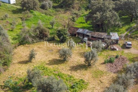 Terreno en Proenca-a-Nova, Castelo Branco, Proenca-a-Nova - € 75.000 | Ref: SA168 - photo 11