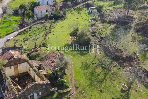 Farm i Proenca-a-Nova, Castelo Branco, Proenca-a-Nova - € 100.000 | Ref: SA362 - foto 2