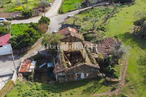Farm i Proenca-a-Nova, Castelo Branco, Proenca-a-Nova - € 100.000 | Ref: SA362 - foto 3