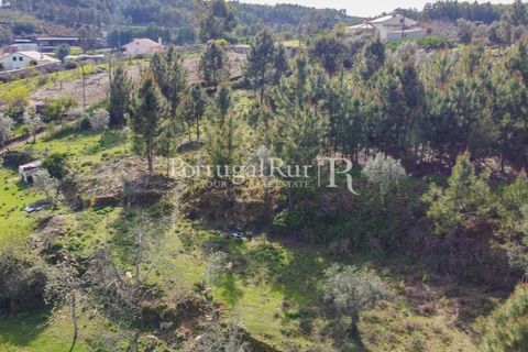 Farm i Proenca-a-Nova, Castelo Branco, Proenca-a-Nova - € 100.000 | Ref: SA362 - foto 4