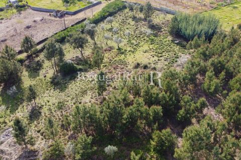 Farm i Proenca-a-Nova, Castelo Branco, Proenca-a-Nova - € 100.000 | Ref: SA362 - foto 5