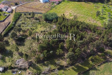 Farm i Proenca-a-Nova, Castelo Branco, Proenca-a-Nova - € 100.000 | Ref: SA362 - foto 6
