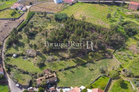 Farm i Proenca-a-Nova, Castelo Branco, Proenca-a-Nova - € 100.000 | Ref: SA362 - foto 7