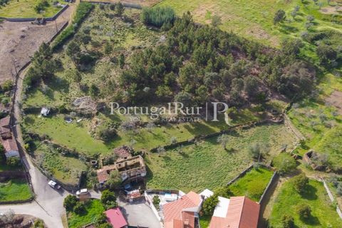 Farm i Proenca-a-Nova, Castelo Branco, Proenca-a-Nova - € 100.000 | Ref: SA362 - foto 8