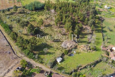 Farm i Proenca-a-Nova, Castelo Branco, Proenca-a-Nova - € 100.000 | Ref: SA362 - foto 9