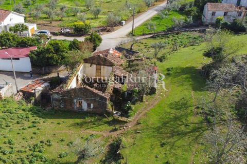 Farm i Proenca-a-Nova, Castelo Branco, Proenca-a-Nova - € 100.000 | Ref: SA362 - foto 10