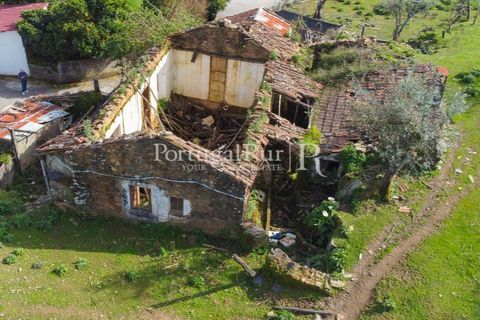 Farm i Proenca-a-Nova, Castelo Branco, Proenca-a-Nova - € 100.000 | Ref: SA362 - foto 1