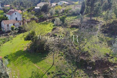 Farm i Proenca-a-Nova, Castelo Branco, Proenca-a-Nova - € 100.000 | Ref: SA362 - foto 11