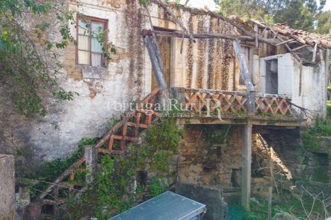 Farm i Proenca-a-Nova, Castelo Branco, Proenca-a-Nova - € 100.000 | Ref: SA362 - foto 13