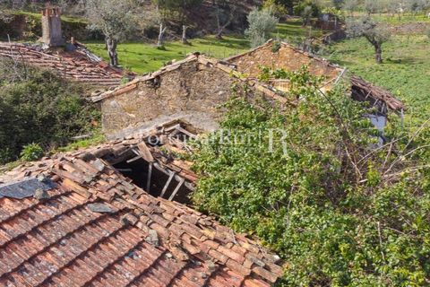 Farm i Proenca-a-Nova, Castelo Branco, Proenca-a-Nova - € 100.000 | Ref: SA362 - foto 14