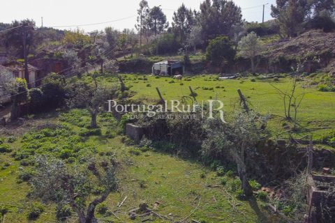 Farm i Proenca-a-Nova, Castelo Branco, Proenca-a-Nova - € 100.000 | Ref: SA362 - foto 15