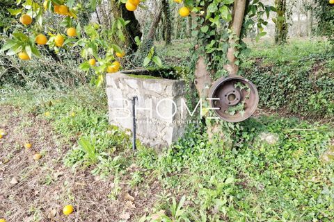 Helårsgrund i Amares, Braga, Amares - € 23.500 | Ref: 2001578 - foto 5