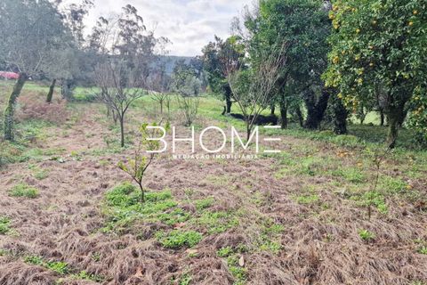 Helårsgrund i Amares, Braga, Amares - € 23.500 | Ref: 2001578 - foto 6