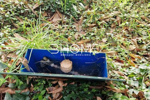 Helårsgrund i Amares, Braga, Amares - € 23.500 | Ref: 2001578 - foto 7